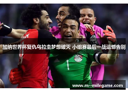 加纳世界杯复仇乌拉圭梦想破灭 小组赛最后一战遗憾告别