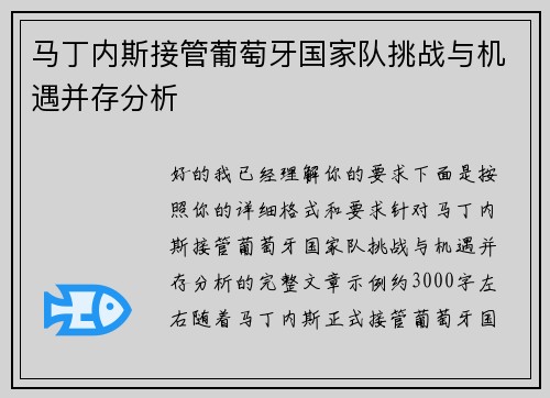 马丁内斯接管葡萄牙国家队挑战与机遇并存分析
